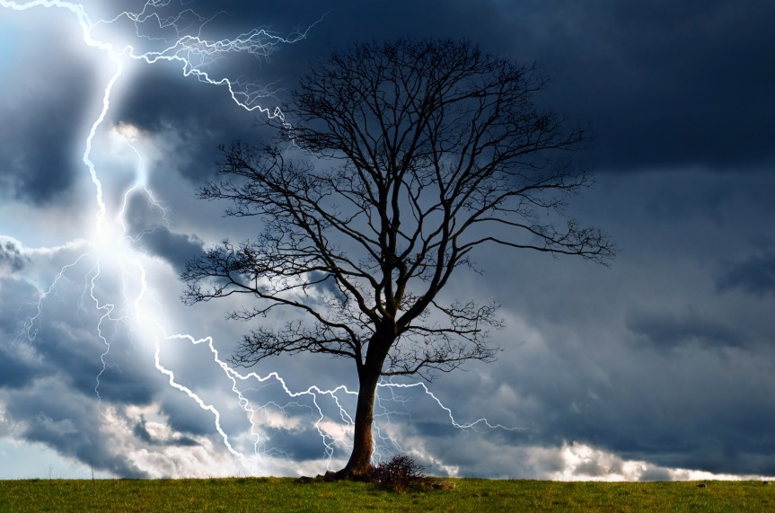 Ozark Encyclopedia – L – Lightning Wood