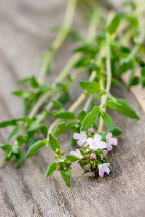 living-herbs-for-cold-flu-thyme